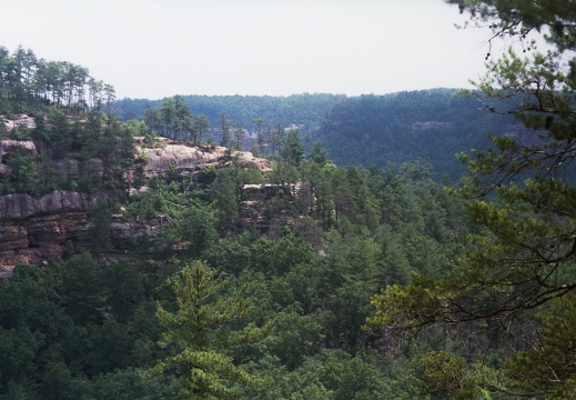 Gladie Creek &amp; Red River